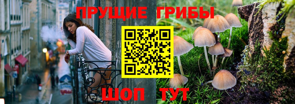 Псилоцибиновые грибы мицелий Будённовск